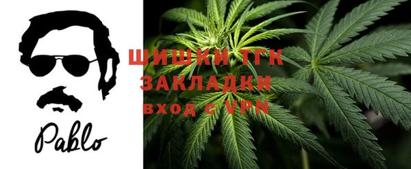 гашик Архангельск
