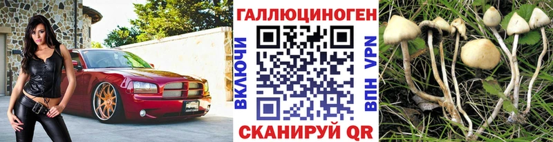 Псилоцибиновые грибы прущие грибы  Кизилюрт 