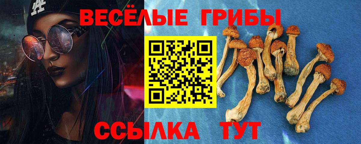 Галлюциногенные грибы Magic Shrooms  Вход с VPN  Кизилюрт  Псилоцибиновые грибы мицелий 